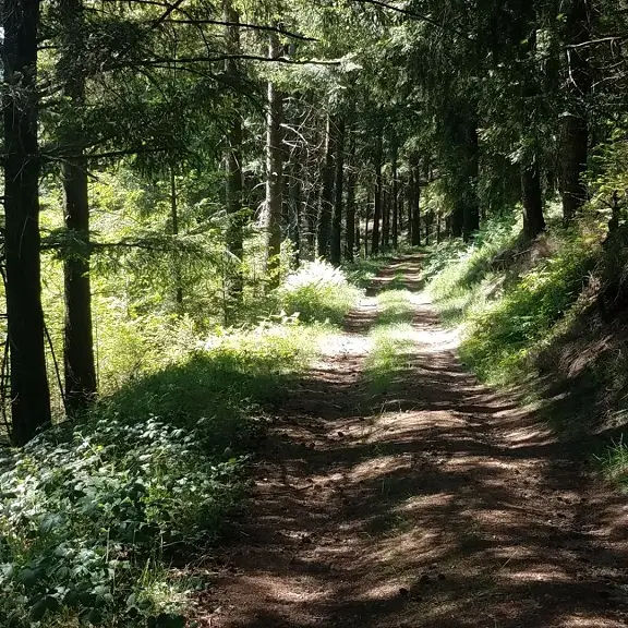 Saint-Julien-le-petit-Boucle du Mont Larron_1
