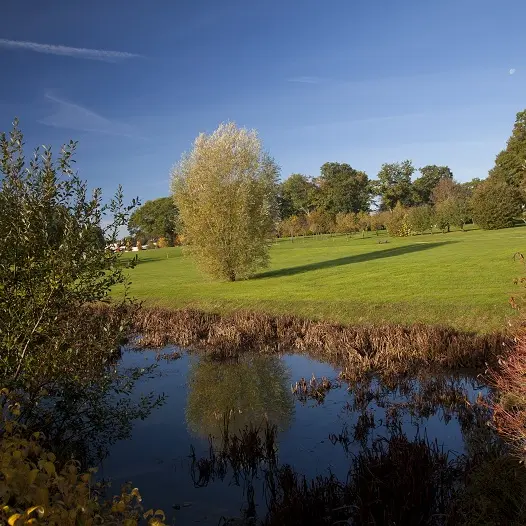 Parc des Essarts_1
