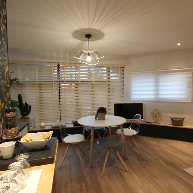 Séjour appartement vert_1