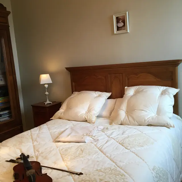 Chambre d'hôtes de la Rue de la Pouge_1