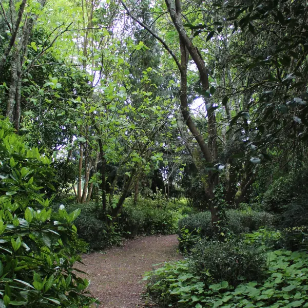 SIRTAQUI - 2