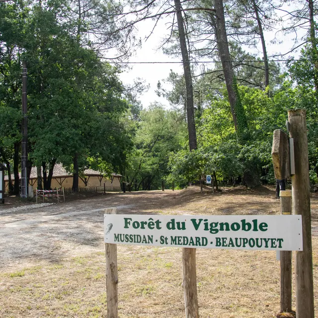 foret-vignoble-entrée-beaupouyet-mussidan-toursime-vallee-isle