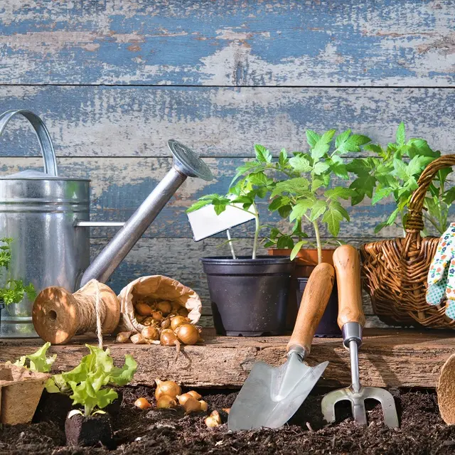 JARDIN PARTAGE