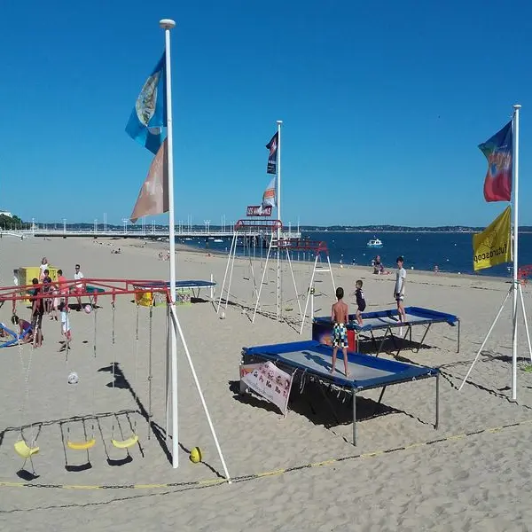 club des marsouins