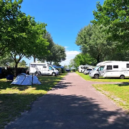 filz für camper KFZ Filz – TheBigBeast
