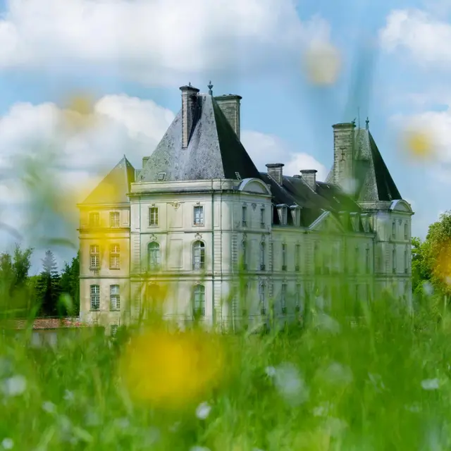 2025 Château de Fayolle TOCANE SAINT APRE