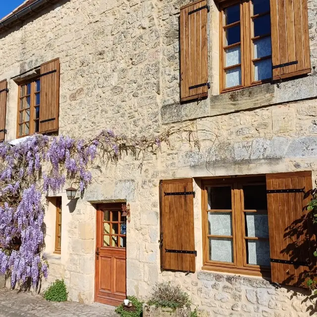 20250409_175325_resized