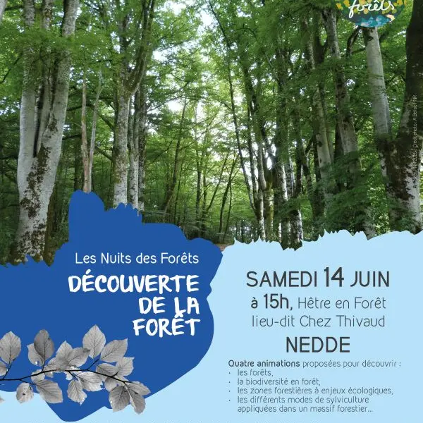 20250614_INT_NEDDE_Nuits des Forets_AnimationDiv_web