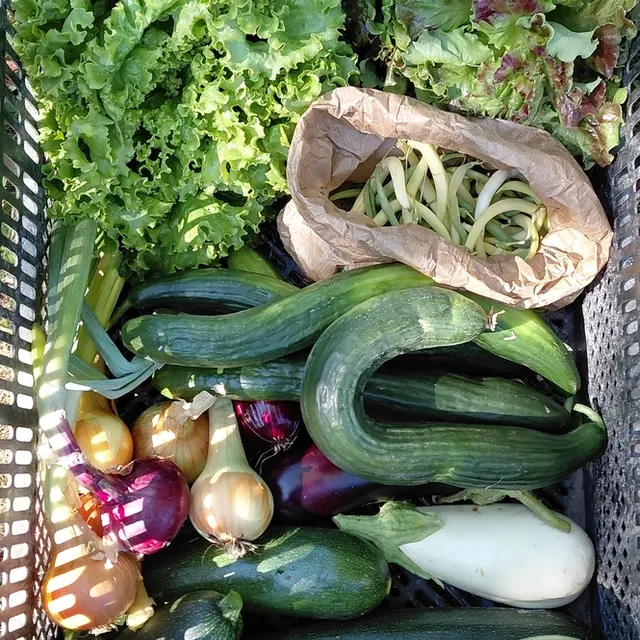 2026 - Ferme La Petite Clavelie RIBERAC