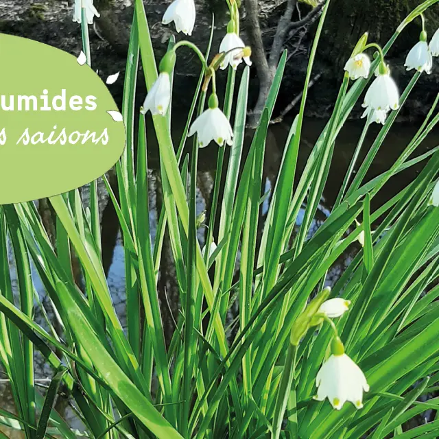 2026 03 25 - JMZH PNR - Labarde