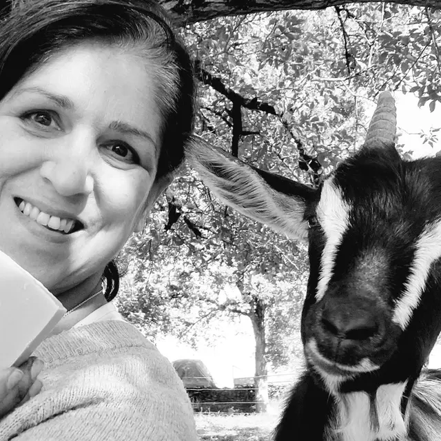 2026 La chèvre se savonne Douchapt (1)