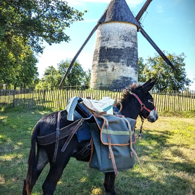 2026 Sensori'Ane Paussac St Vivien (2)