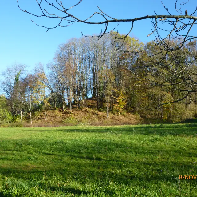 Motte castrale et fossé de Puy Archer, dit Châteauvieux à La Porcherie_1