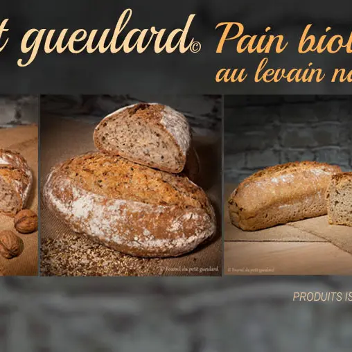 Fournil du petit gueulard à Château-Chervix_1