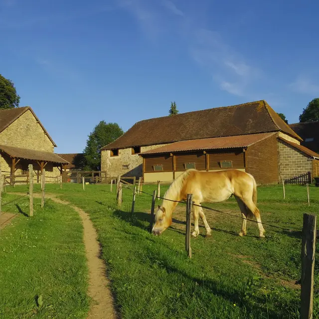 Poney club Equi-libre_1
