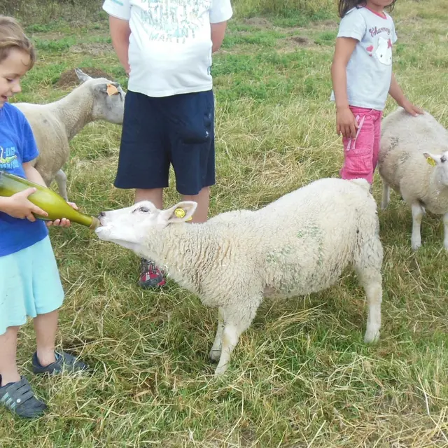 Les sabots de laine à St Hilaire Bonneval_3