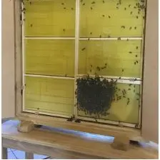 Le jardin aux abeilles à Magnac-Bourg