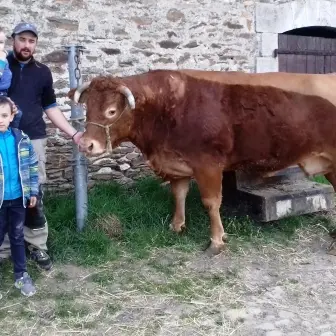 Ferme du champeix saint-yrieix_2