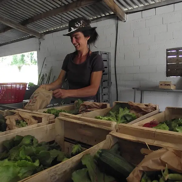 terre ferme  coussac bonneval_1