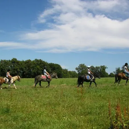Centre équestre Cheval Pot'Agé