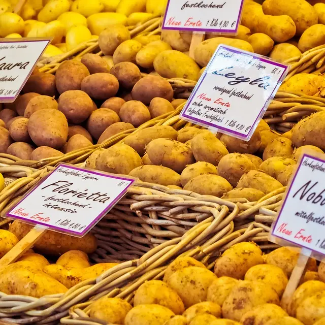 Pommes de terre_1
