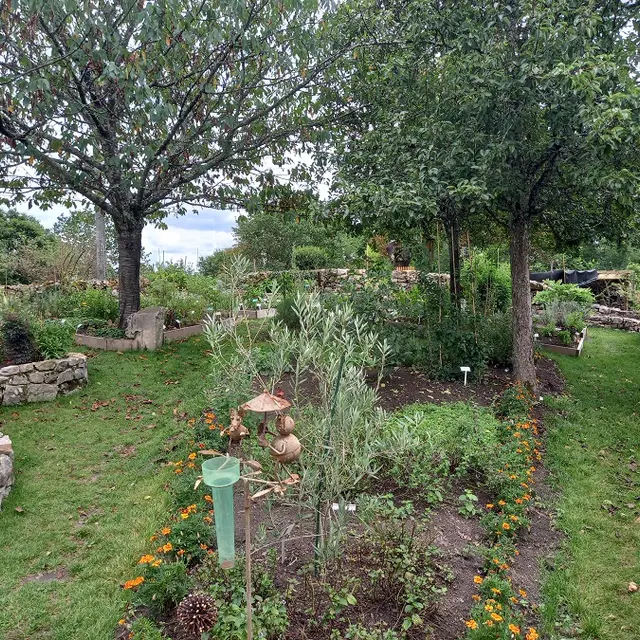 Jardin botanique_1