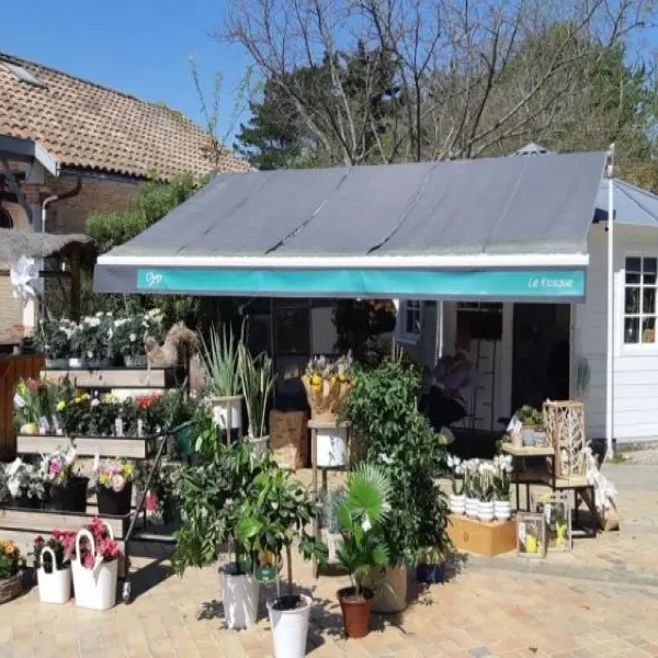 22-stores_large