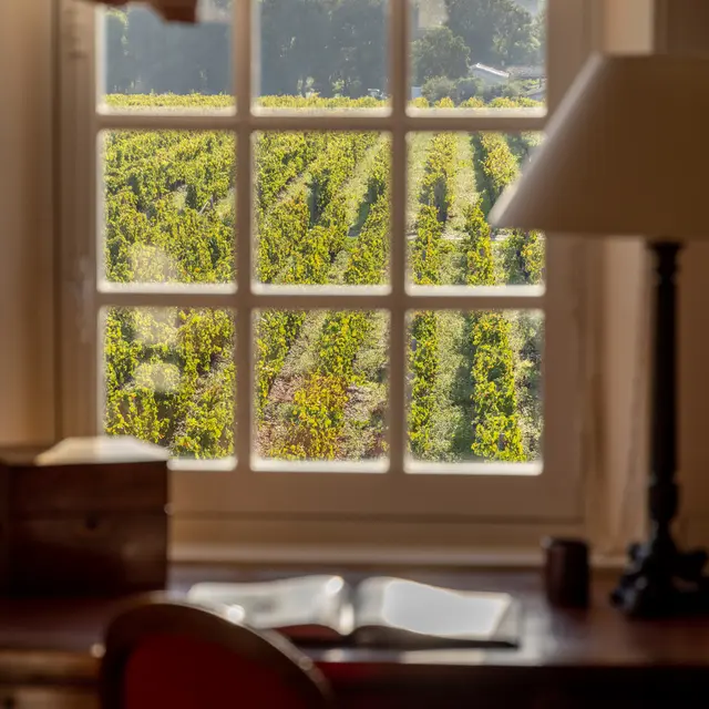 Vue sur les vignes