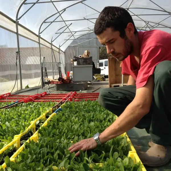 Les plants bio du 