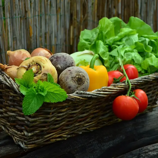 Légumes bio de M. Villette_1