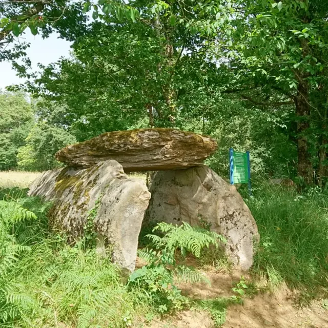 Dolmen de la Tamanie_1