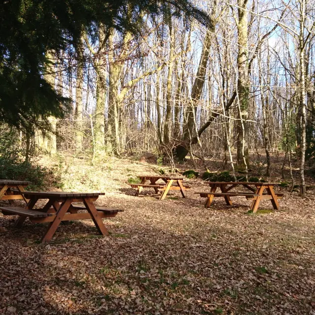 Aire de pique-nique Forêt de Boubon