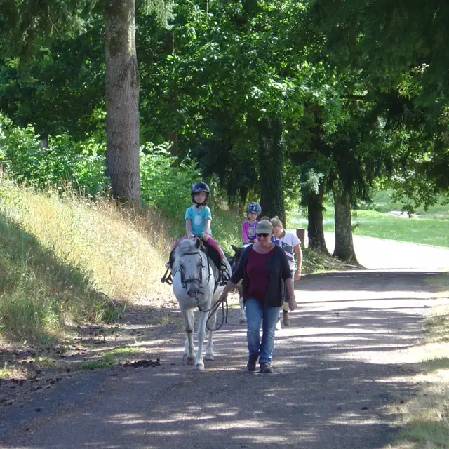 Ecurie des Forets_1