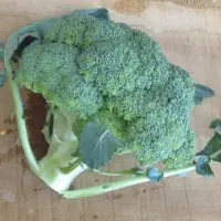 Brocoli_1