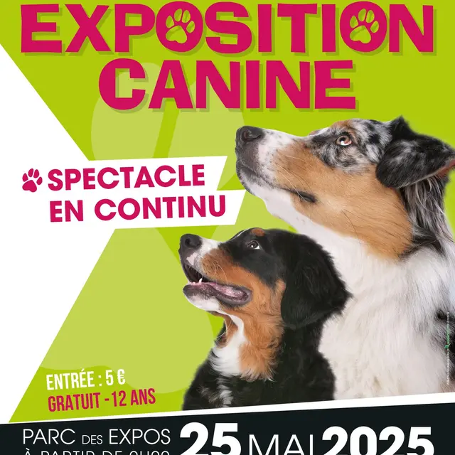 25-05-2025-Expo canine_VsL