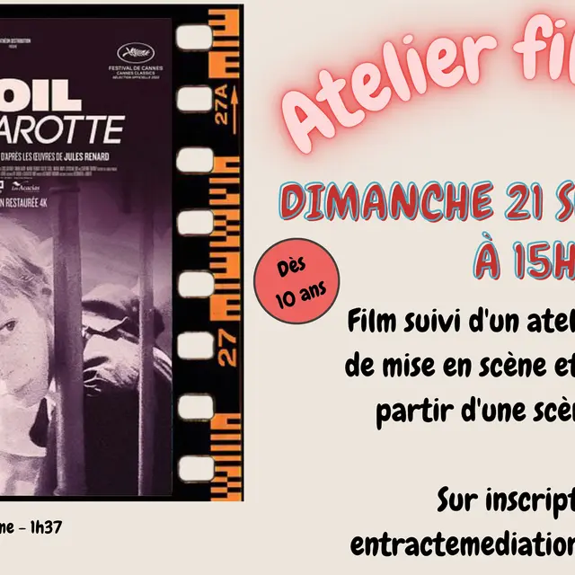 Cartons - 22