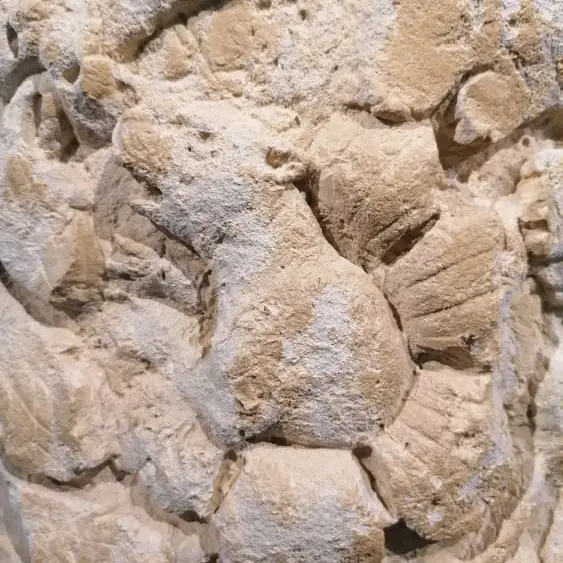 Décor architectural