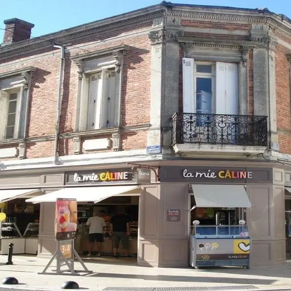 Mie câline