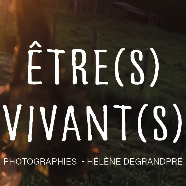 Exposition Hélène Degrandpré