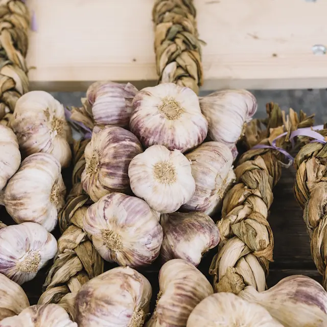 Foire à l'ail et au melon