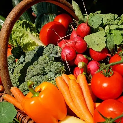 vegetables-3386212_640