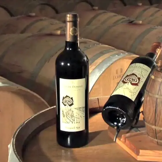 Cave du vin de Domme