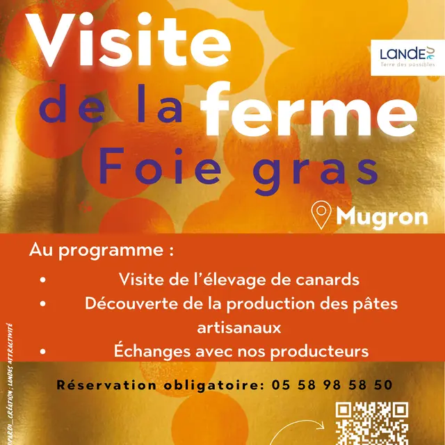 affiches Les Automnales - visite de la ferme du foie gras