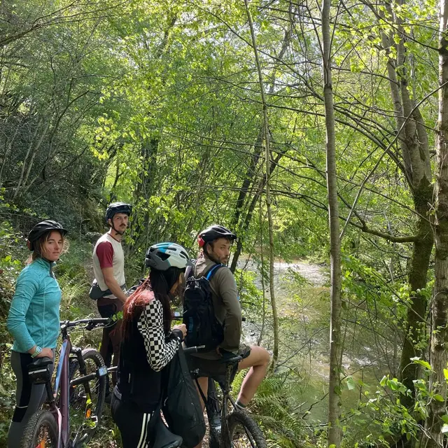 vtt feelout-1