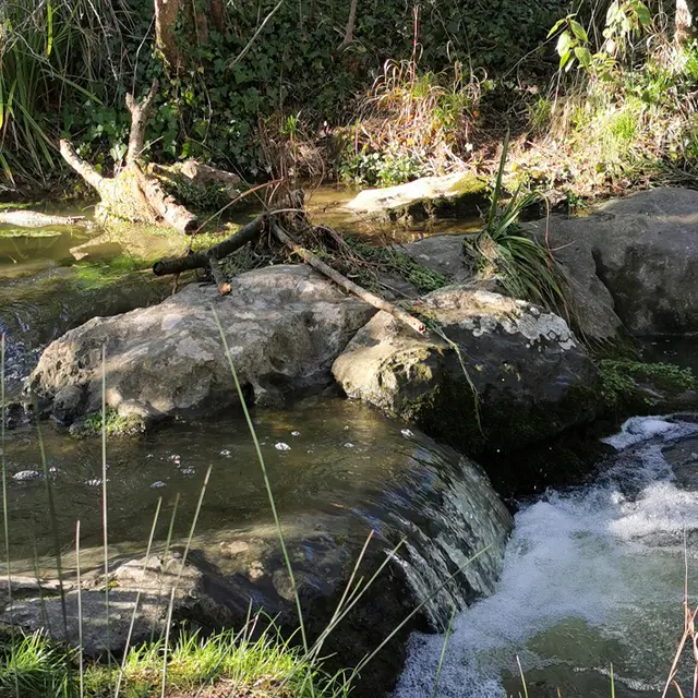 A&CC-concours photo 3 -De rus en cascadelles