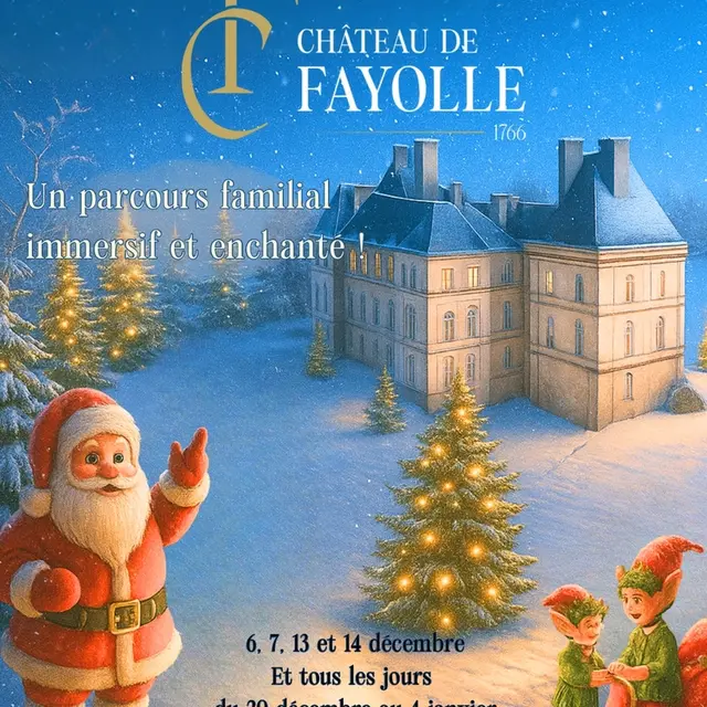 AFFICHE NOEL