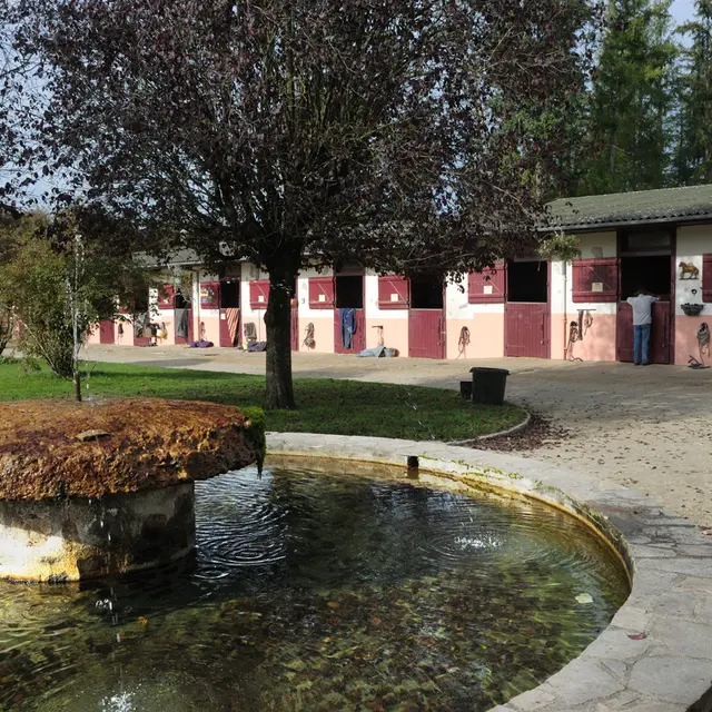 Centre equestre domaine de muret