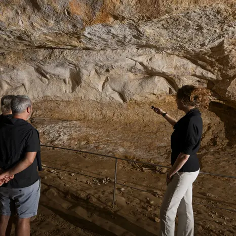 Abri du Cap-Blanc, visite guidée de la frise sculptée de l'Abri du Cap-Blanc, Olivier Huard OHUW25-0060