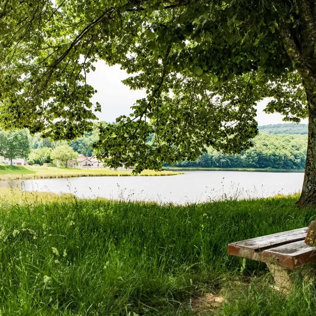 Aire de pique-nique Etang de Jonas