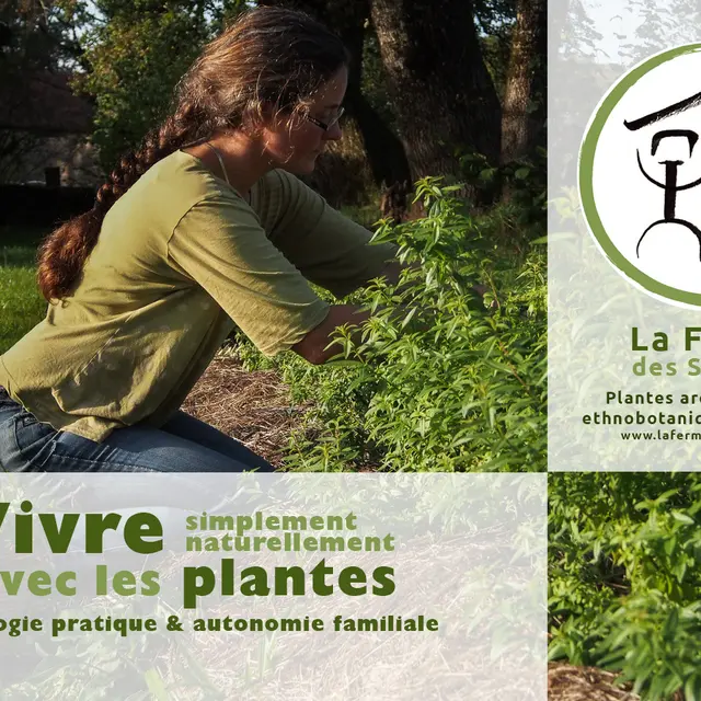 Stage Vivre avec les plantes